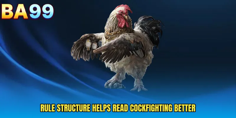 Rule Structure Helps Read Cockfighting Better