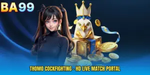 Thomo Cockfighting - HD Live Match Portal